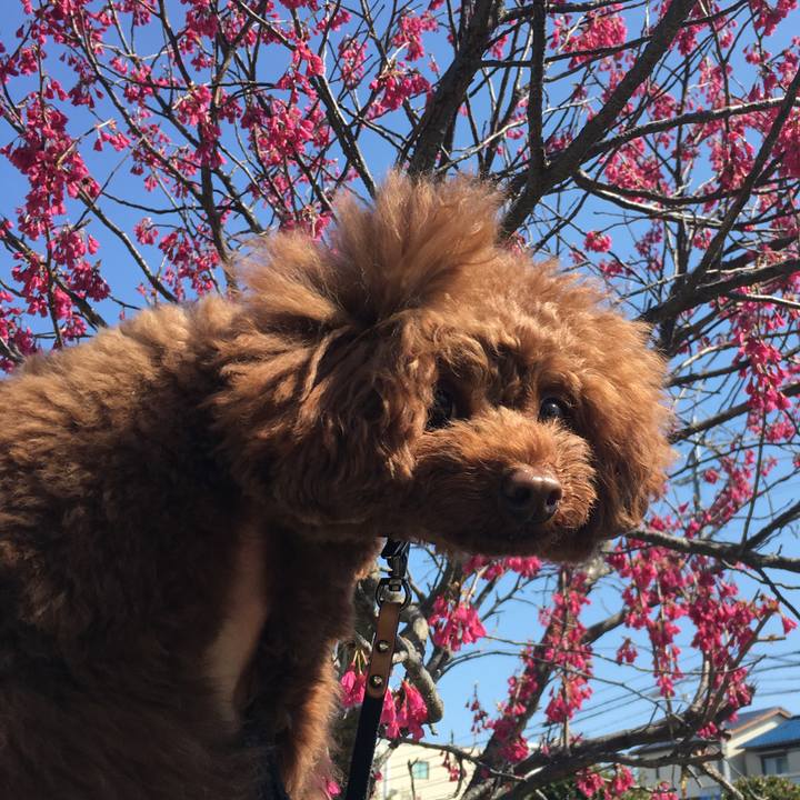 81afe702 2dc2 4ab3 9367 bcb68a678ea7 1521415514174