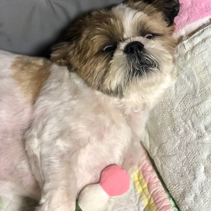 81aff57e db7c 4230 84ea c8b361fd3483 1538999303906