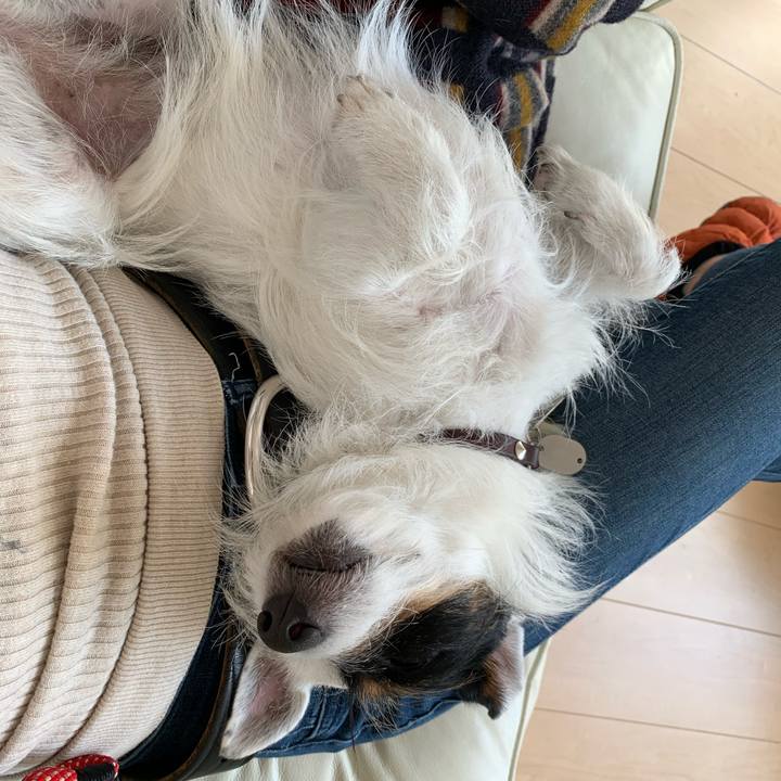 81b00dee a3f7 4278 956e 36f86558d303 1585805605210