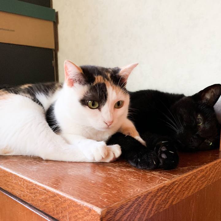 81b07cfc 328d 47ee 8c90 0af08f13f430 1571537327416