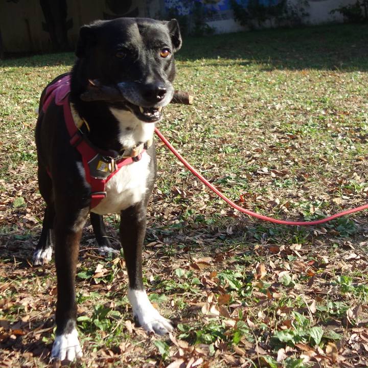 81b09f88 641e 4a14 8347 9449a0715356 1701045996800