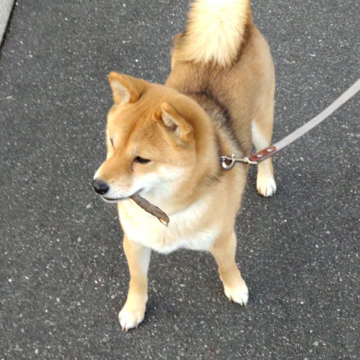 81b0bd33 d910 4308 b647 cc0ccf0690f0 1642230682528