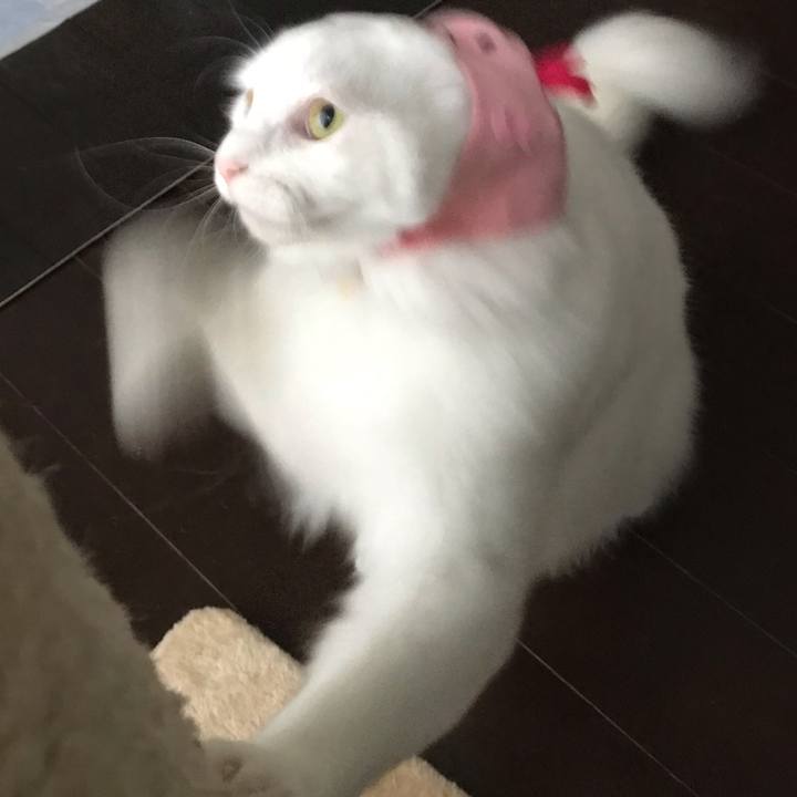 81b0d1f8 4aea 4af0 a4a5 0ea5c689f1c0 1553418959918