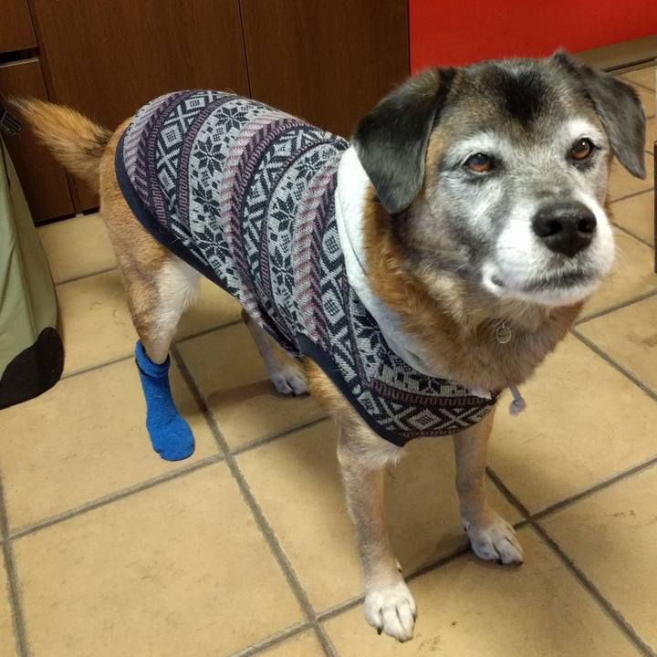 81b0e12c b5e2 43a1 8f48 10ac83cf626a 1545008257485