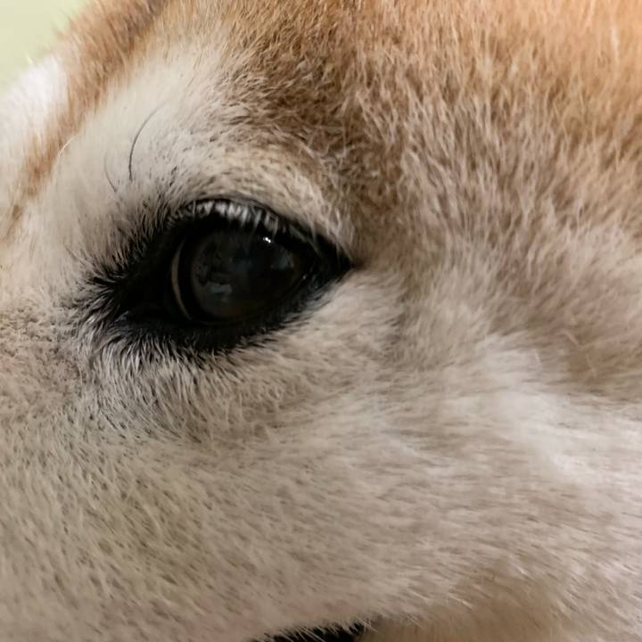 81b0ea47 9558 40dc 83d0 d7d24404c5cf 1591097082249