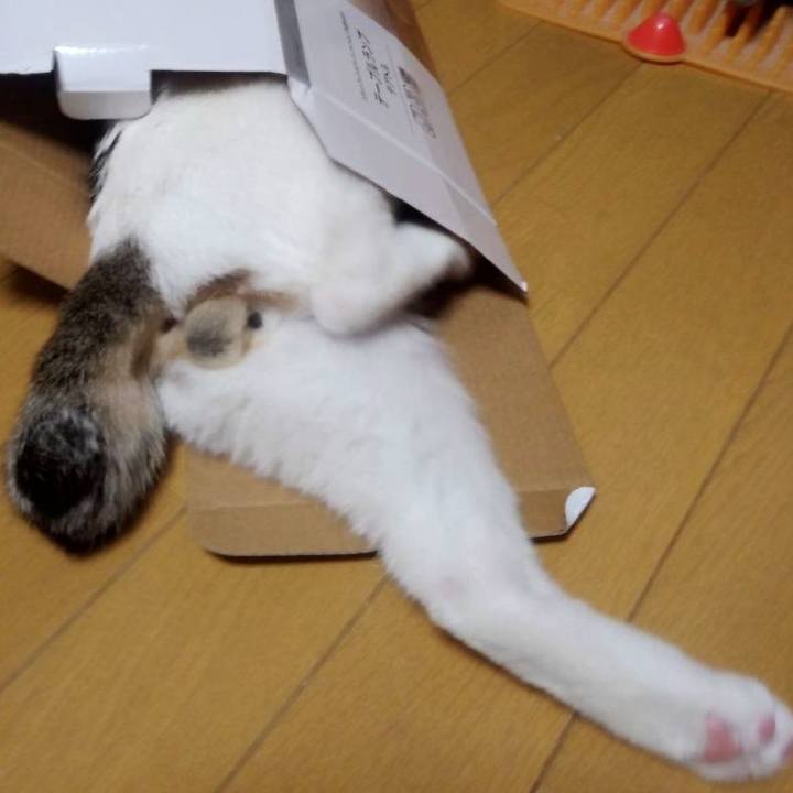 81b0f6a8 123f 49f1 a6d5 9dad4063cc52 1649676368155