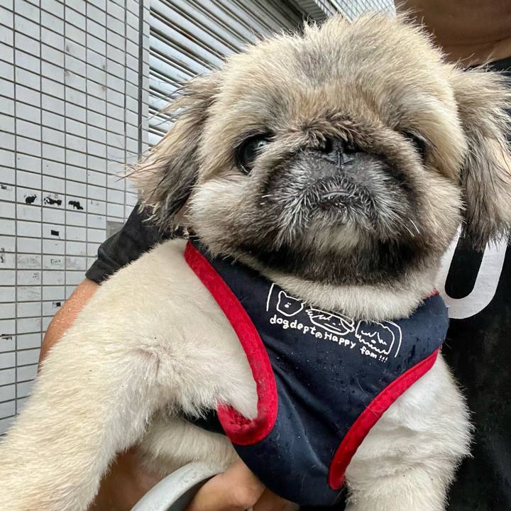 81b0f7cf 80e4 4379 860f 2b5fb3326d85 1723755081195