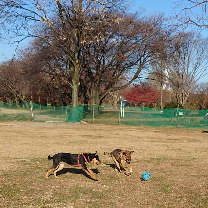 81b0fe4e d9c9 44fe 9ba8 e8853231a308 1702084803639