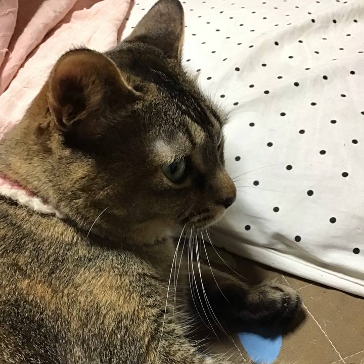 81b18663 4491 4e2b b677 861d7036b84b 1651223679197