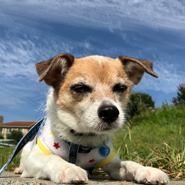 81b186e3 298f 49b0 9a01 a93f71ff5292 1601945116741