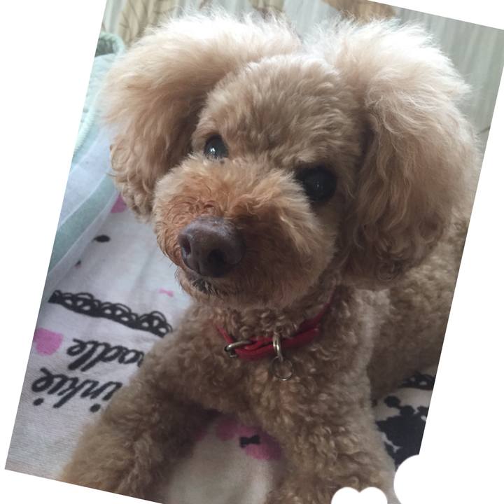 81b1a55e f41c 4ee6 9f42 fadf3123cd70 1528496041950