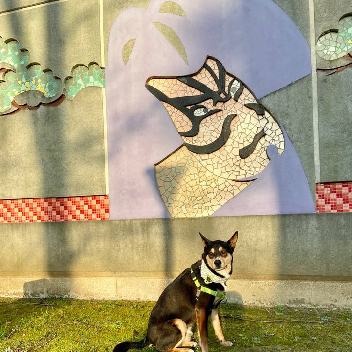 81b1bb06 73cd 4eb3 bce9 7e7a42e98d9e 1617454688858