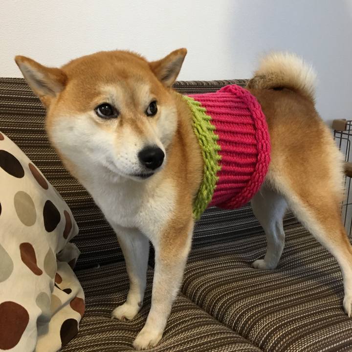 81b1bb99 d1dd 4fef 8f2f 47b51b666756 1515296367772