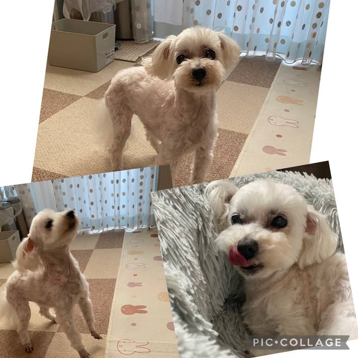 81b1f008 44ae 41c4 8e4a b5ee78c323bd 1746012980225