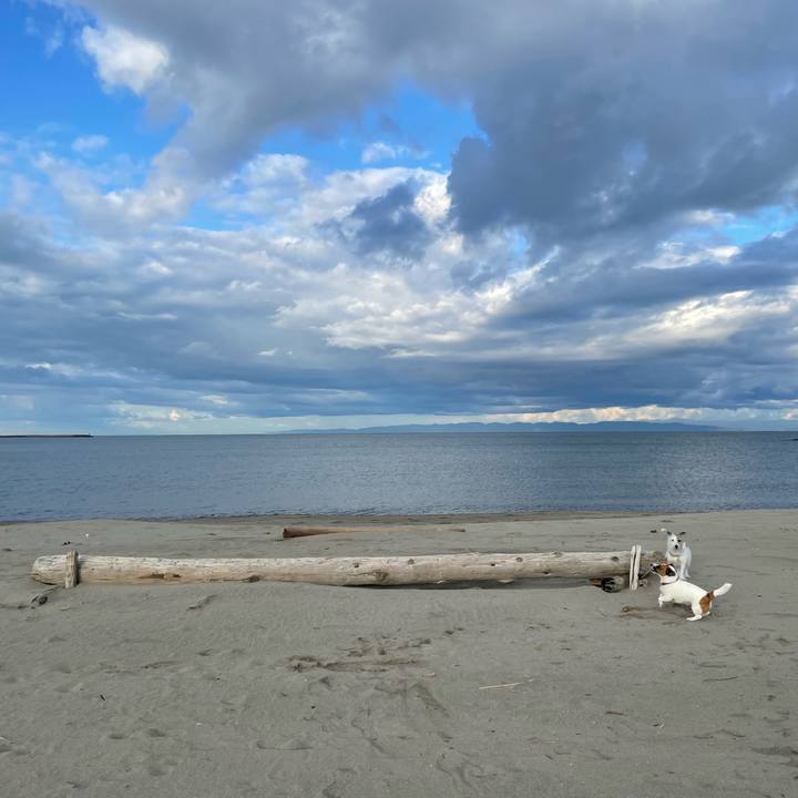 81b1fb46 66c5 469a b0f4 99dc245658d7 1761261234829