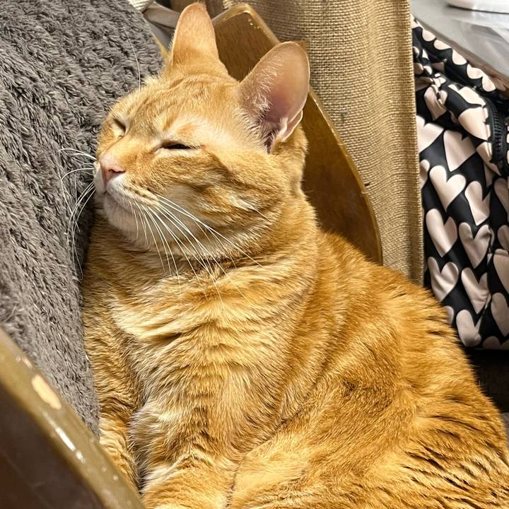 81b1fda0 698e 46fb 843f 9eb5ccf07535 1677282099531