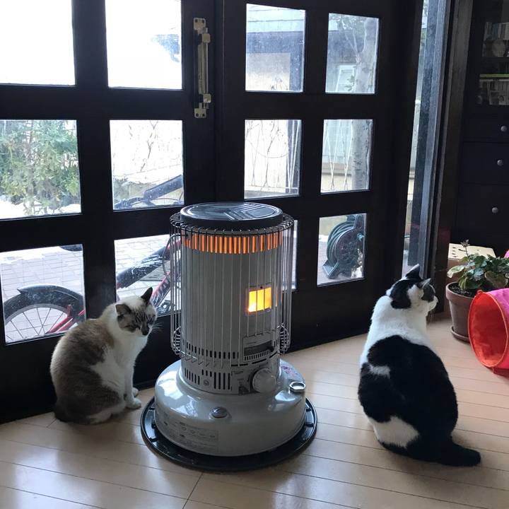 81b2049c 345b 444a 878d 91f224fb2c82 1516923178943