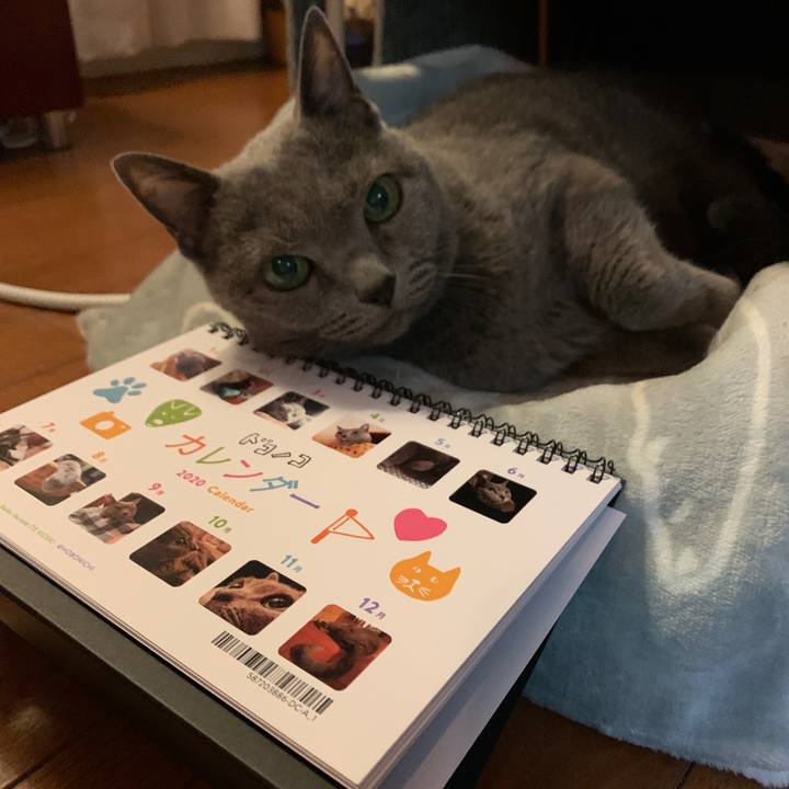 81b2559d 09d7 4ed0 b3bf a71b67a96778 1575104498687