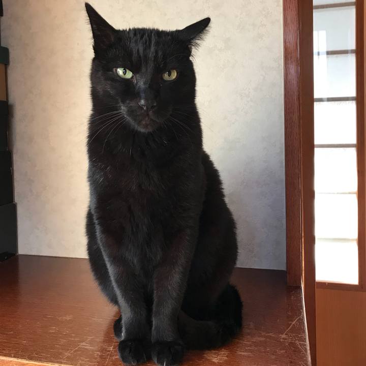 81b26e84 f929 4c59 95c5 05e0da1a3694 1523230780794