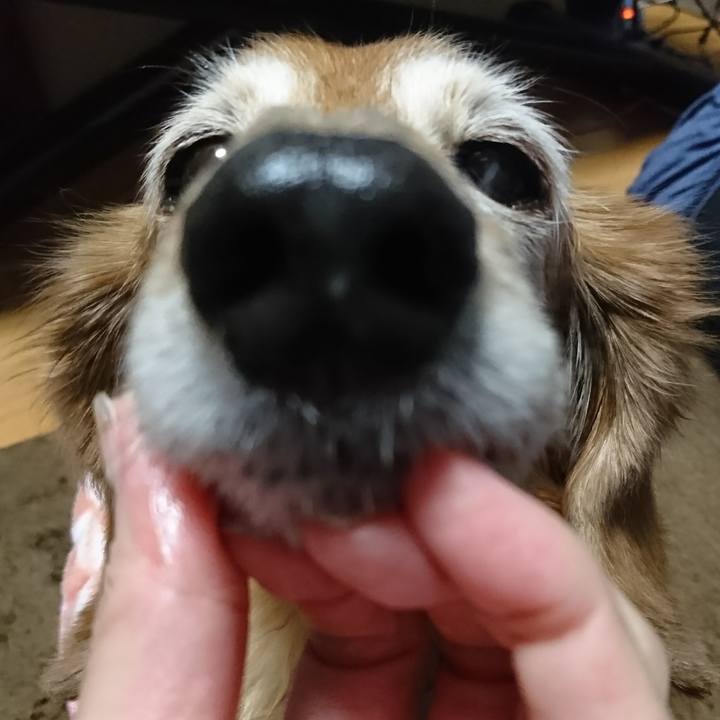 81b28806 29c0 43ed 9a59 354c072d5564 1516268278320