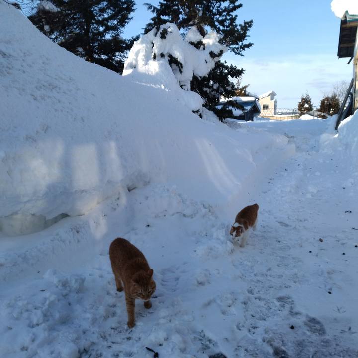 81b2de50 14ac 458f 9e42 8d7ba46fd4ca 1739314412842