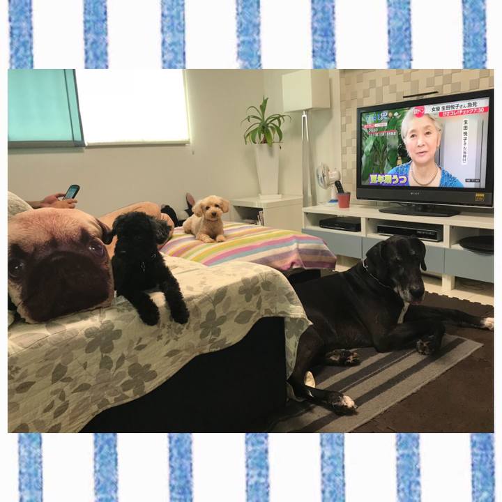 81b2e4a5 374e 400f 8105 0d1269b299f6 1531867562240