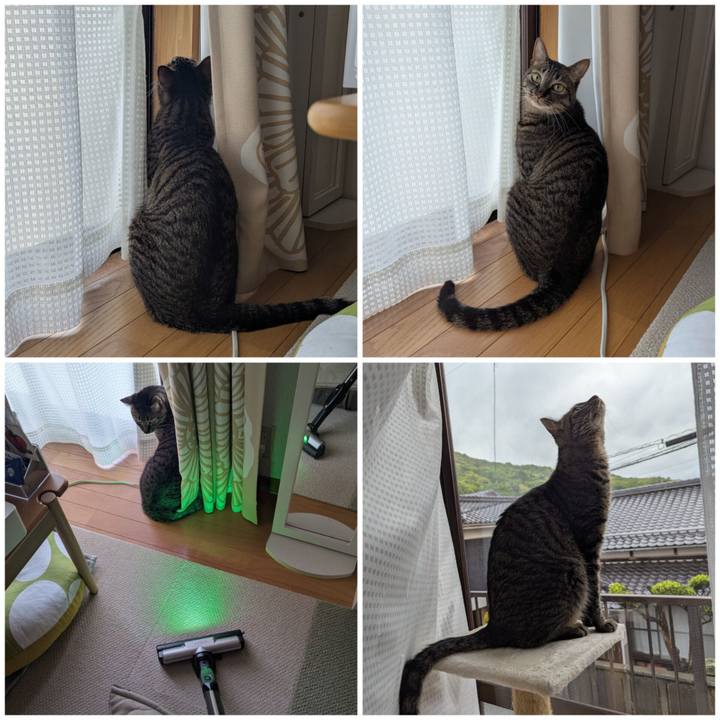 81b2ec67 1b74 4fb5 a1ee 4673f7d0a613 1747980484626