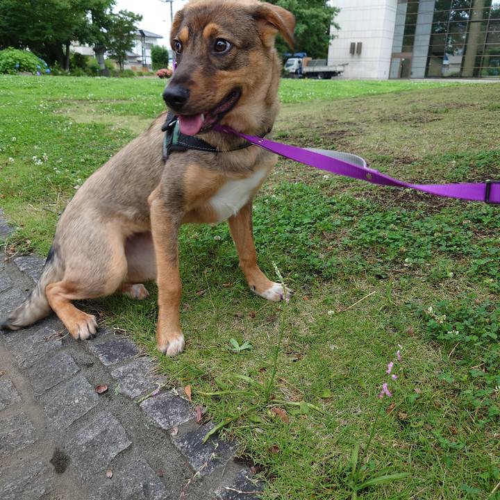 81b3154c f345 4184 a837 1c6505a6b87c 1686354129180