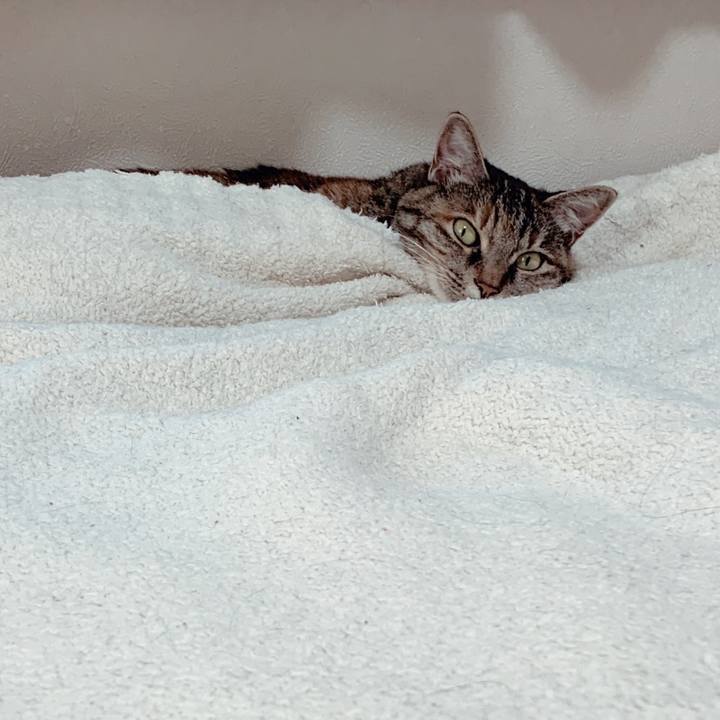 81b34fa6 6fb0 4031 9cc9 af5a9bea9cdb 1691022091092