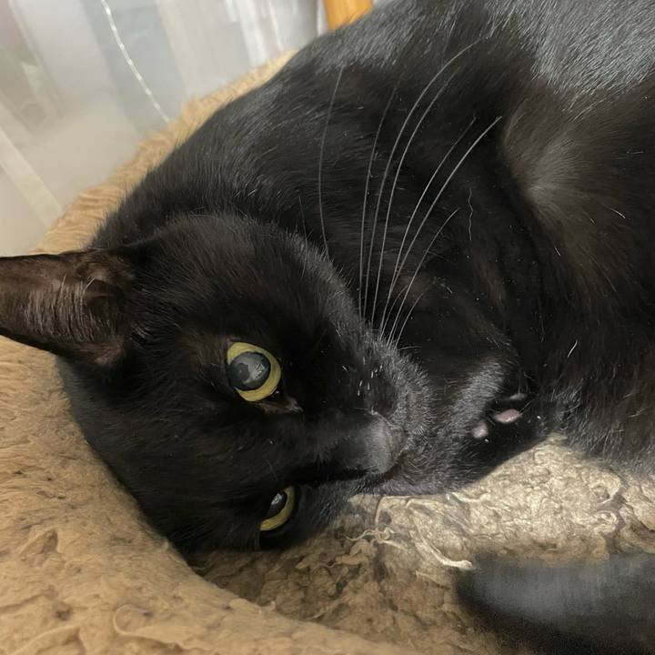 81b36e20 20ba 44ae 9979 968dd2eb47ab 1762952055924