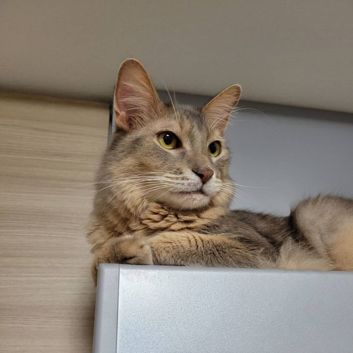 81b3d9a3 05d0 40c9 bc21 8a0e5f7ebc57 1630458146818