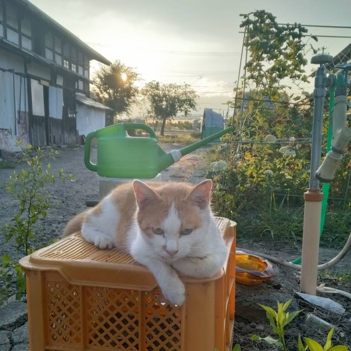 81b42480 e45b 4cb4 8367 1eddb9b5263c 1753998598636