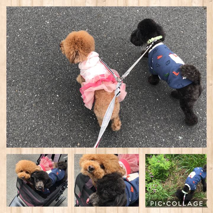 81b4443d 3f44 48f5 afda 7011242e5d38 1591016936050