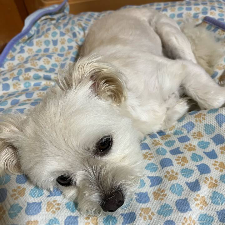 81b44a10 7937 4d6c 8f4b 51c2baade486 1656844436012