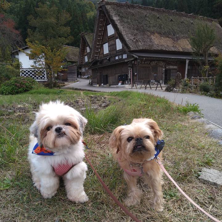 81b44e1a 8582 48df b7af 83cf90593aa3 1603805000103