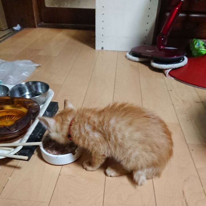 81b4999e fe69 4efc a3e0 02d8b84cbbc8 1629110745634