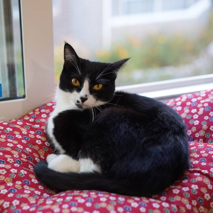 81b4a6c4 abbc 4b6f 89eb 7f5b19e963aa 1635771629159