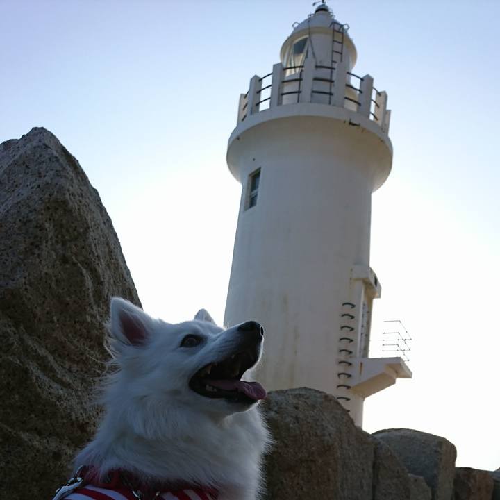 81b4ffd2 cc5e 40f7 9225 95e72b15ddfa 1523194118469