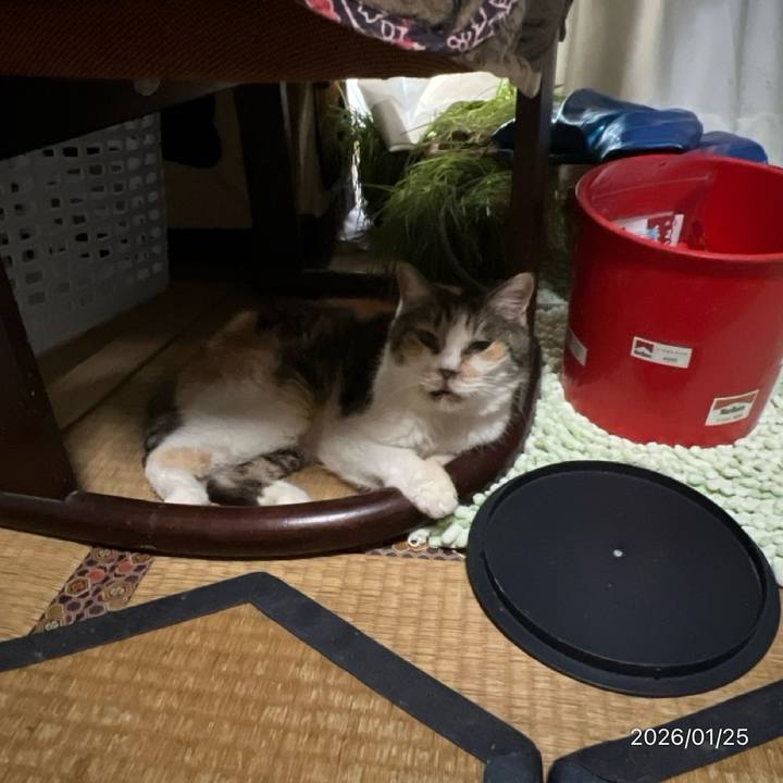 81b585db 7f75 4cbf 8e81 2bfb260913fa 1769304462563