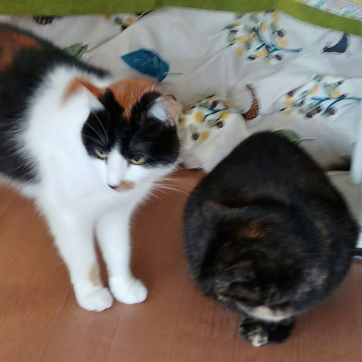 81b5b702 f782 4291 848b 3efad9fbbd7c 1562295992232