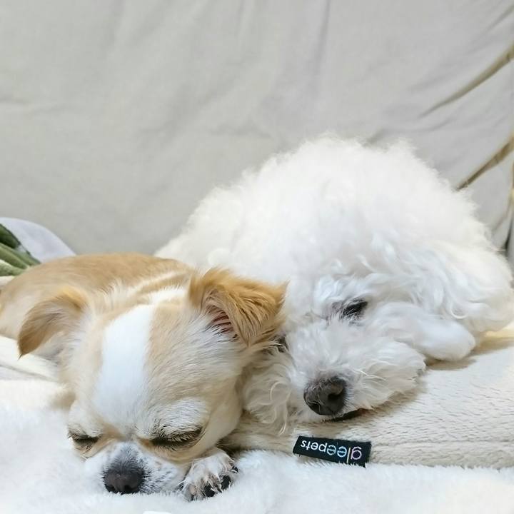 81b5bef3 1a89 4c07 9268 f1dd8388f232 1540554938368