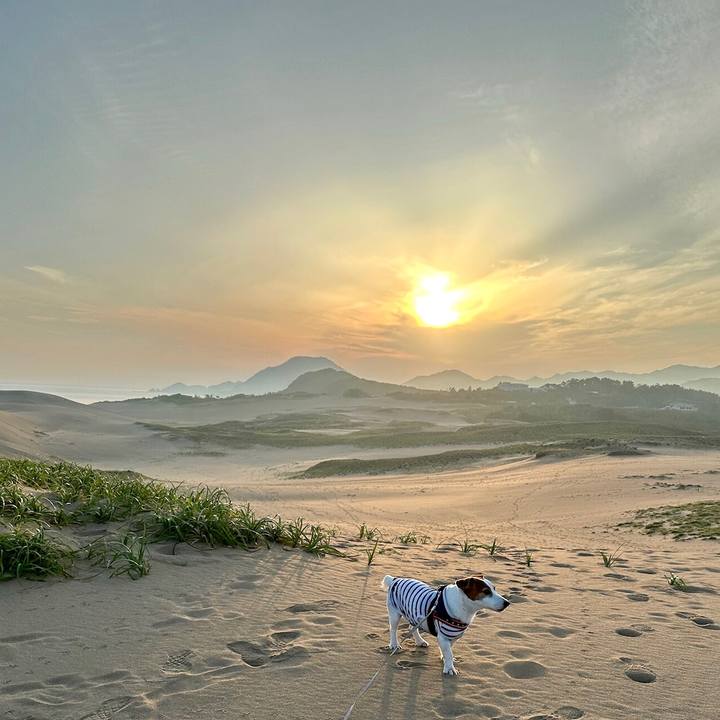 81b60789 222e 49b9 bc05 afcc9dfe1eec 1752210380028