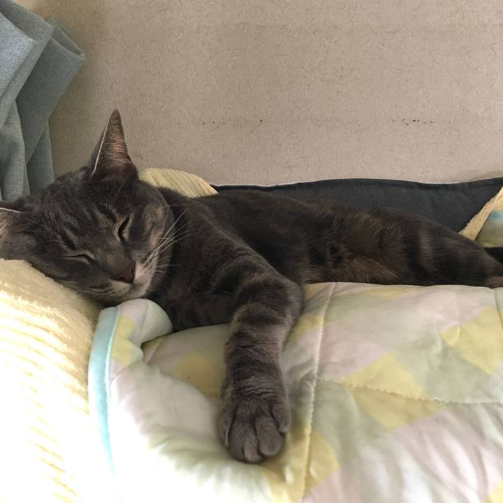 81b616bf c01e 4388 8de7 dbbf45b51260 1597540658615