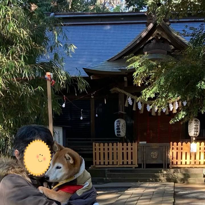 81b61ed4 5960 4134 b447 5c004bc2b428 1767066531690