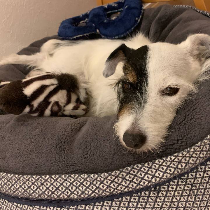 81b62b82 fee0 4edc a210 6156e5a4ac8e 1664796832411