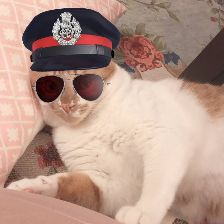 81b673f8 1911 41ff bbdc 61b8ec555b8c 1562457754720