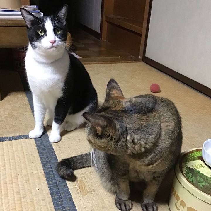 81b67ae8 2795 4ed3 9151 54ab9a275735 1759313076035