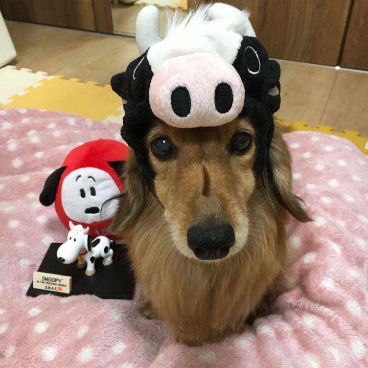 81b69919 58f2 41c5 b1e5 4302518f77cf 1609503185621