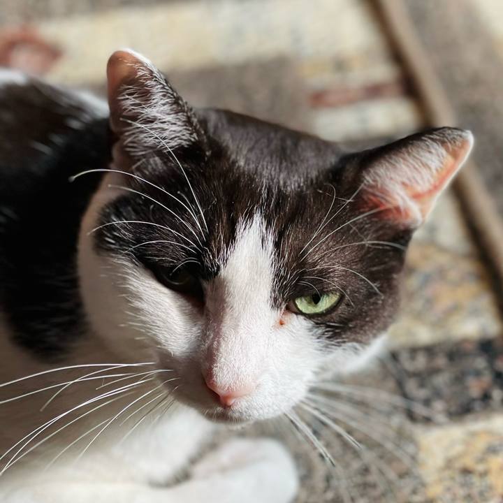 81b6c93c 44d0 4e2d 9cdb e2ec3999986f 1659749951669