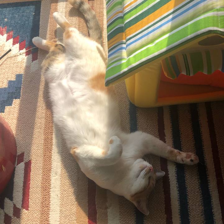 81b6e089 f971 4c66 b0c3 8cd10ff8b8c0 1587881834089